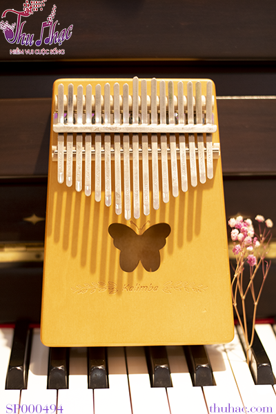 Đàn kalimba cho người mới tập chơi