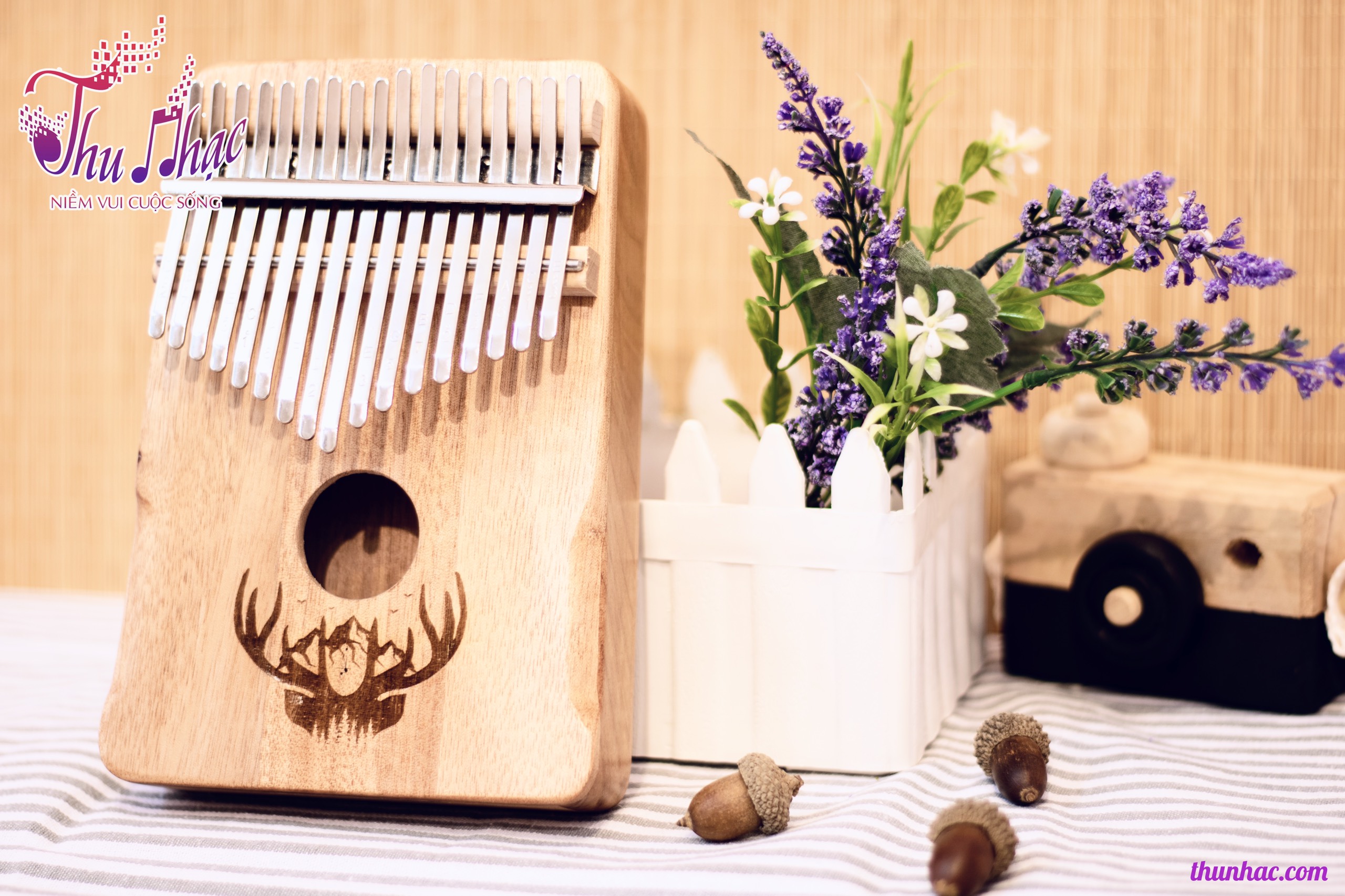 Shop mua đàn Kalimba 17 phím quận 2 chất lượng