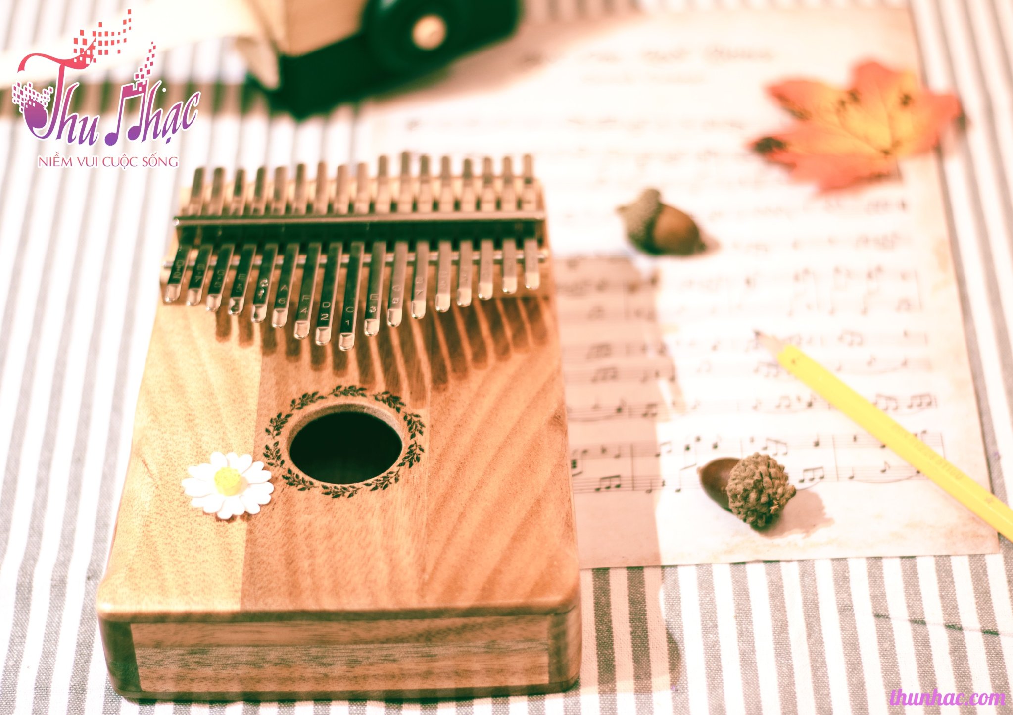 Shop mua đàn Kalimba quận 2 giá rẻ