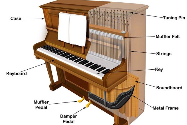 Cấu tạo của đàn Piano Upright