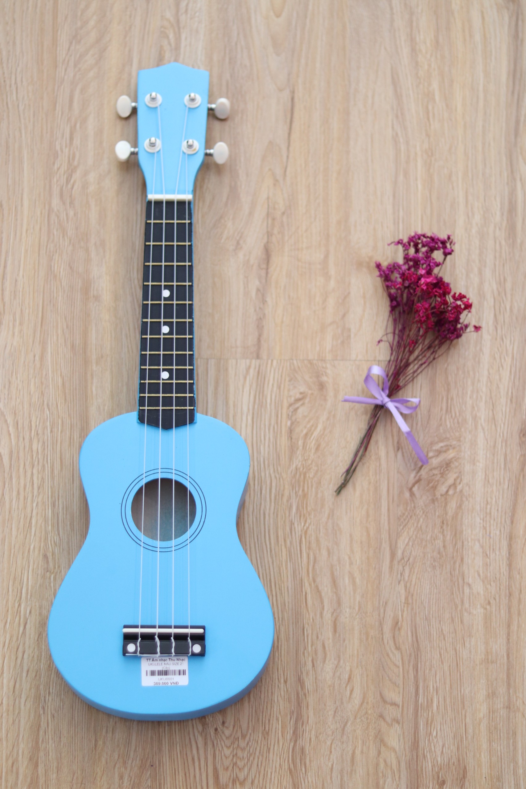 Địa điểm mua đàn ukulele giá rẻ quận 9