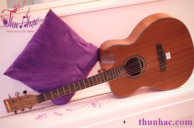 (Guitar acoustic G-Danube TP.HCM)