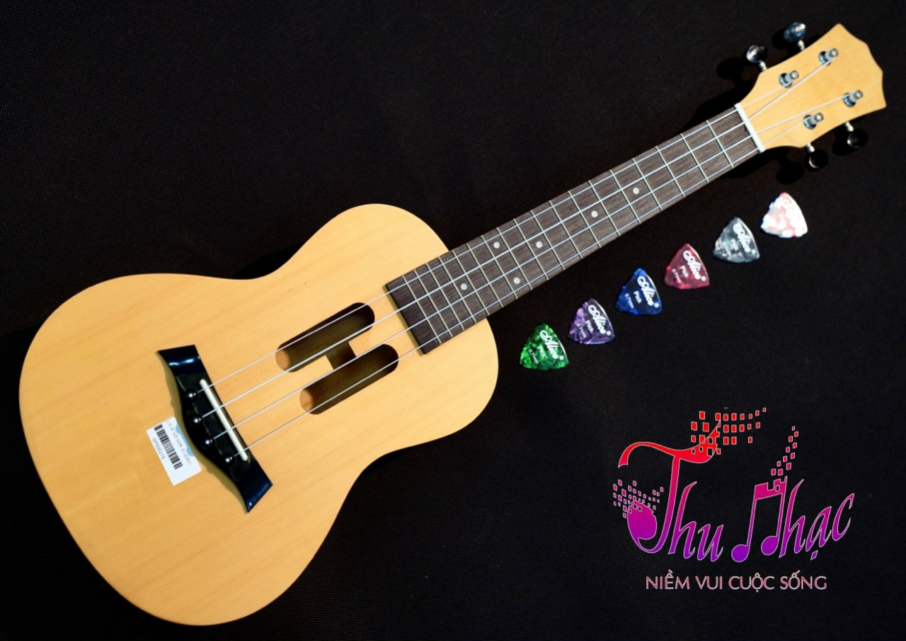 Gảy đàn ukulele giá rẻ quận 9