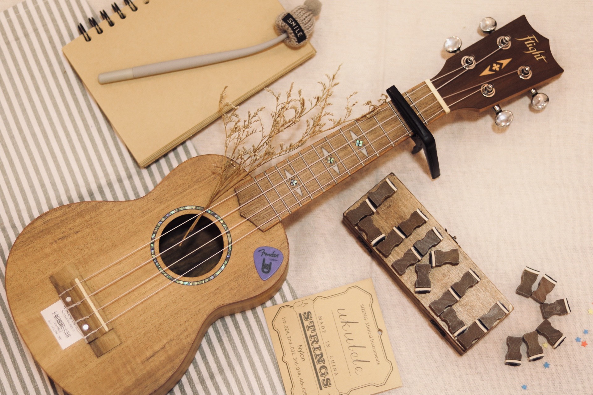 Dây đàn ukulele giá rẻ quận 5