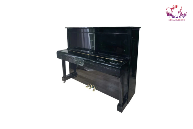 Mặt hông đàn piano cơ Fritzkuhla 30