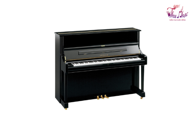 Mặt hông đàn piano cơ Apollo