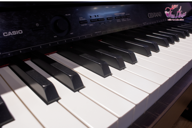 Mặt phím đàn piano điện Casio AP-450 