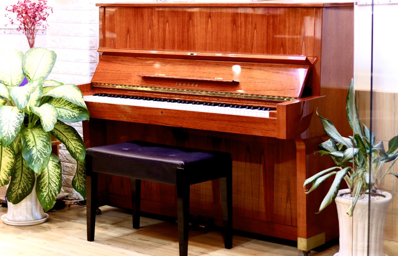 Đàn piano cao cấp