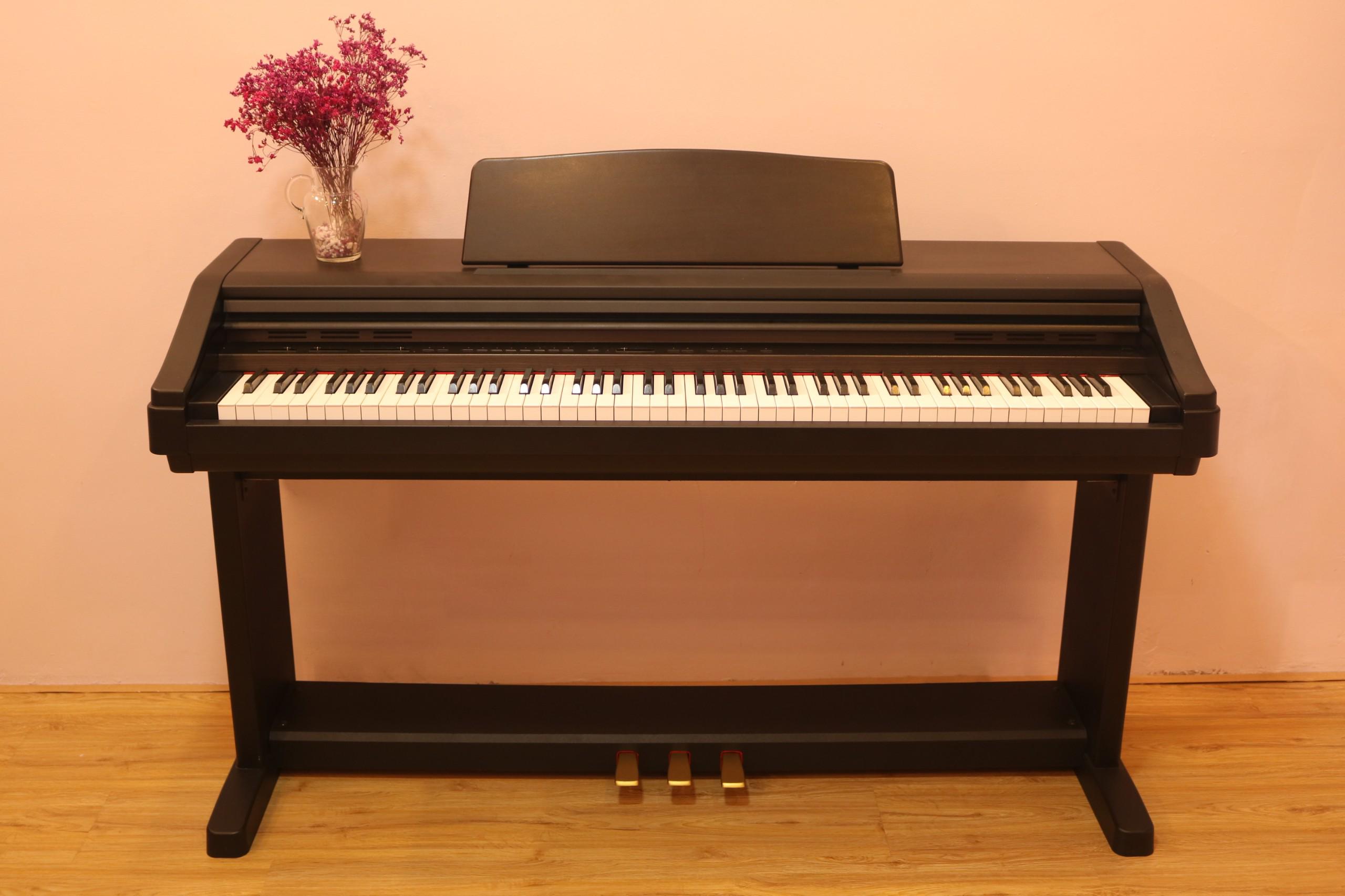 Đàn piano điện cao cấp