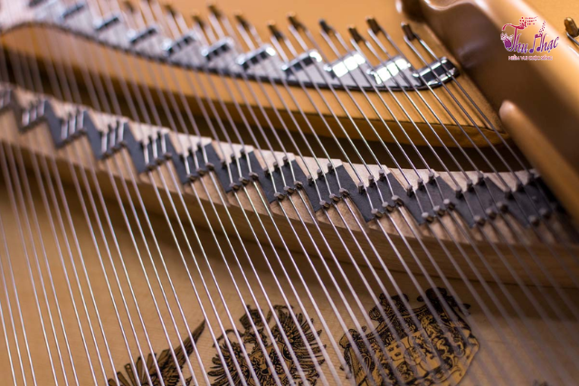 Lên dây đàn piano tại quận 11