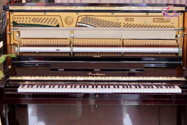 Dịch vụ sửa đàn piano tại nhà