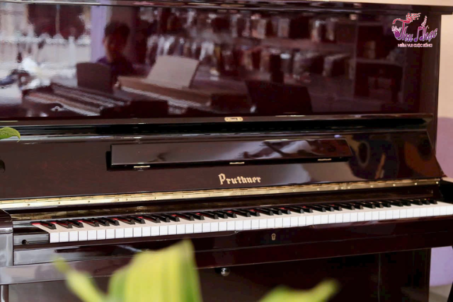 Trung tâm sửa đàn piano chuyên nghiệp