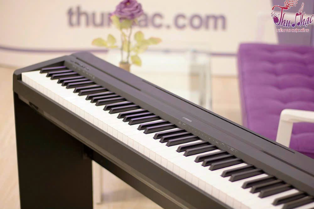 Nơi sửa đàn piano bị rè tiếng