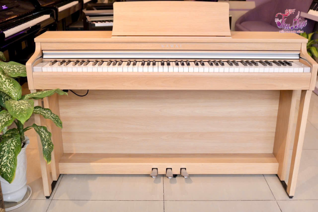 Khắc phục lỗi pedal đàn piano