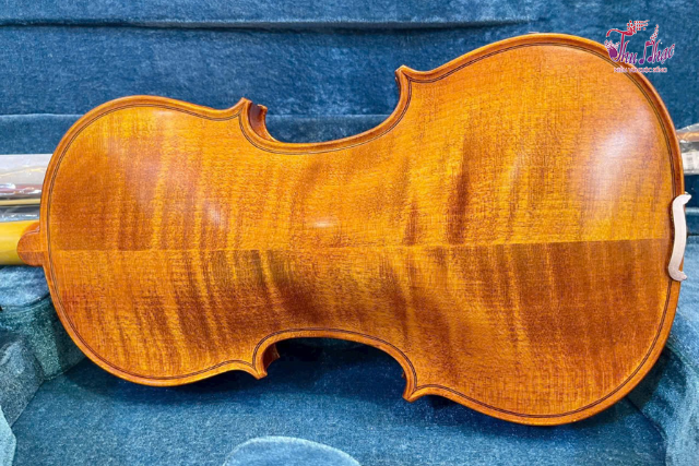 Cửa hàng sửa đàn violin tại Bình Phú TPHCM