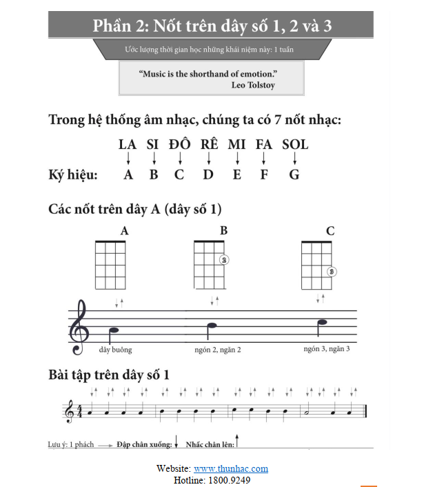 Tự học ukulele với giáo trình