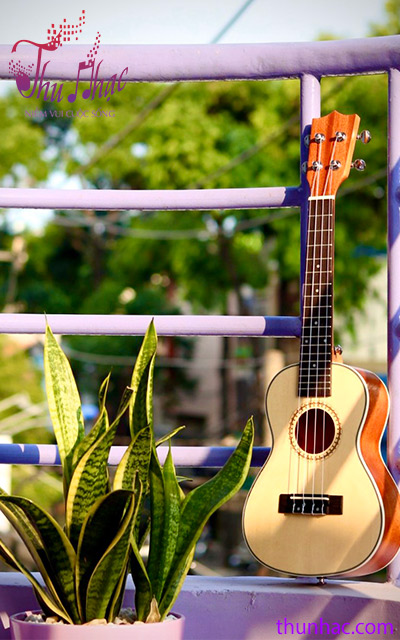 mua ukulele concert uy tín