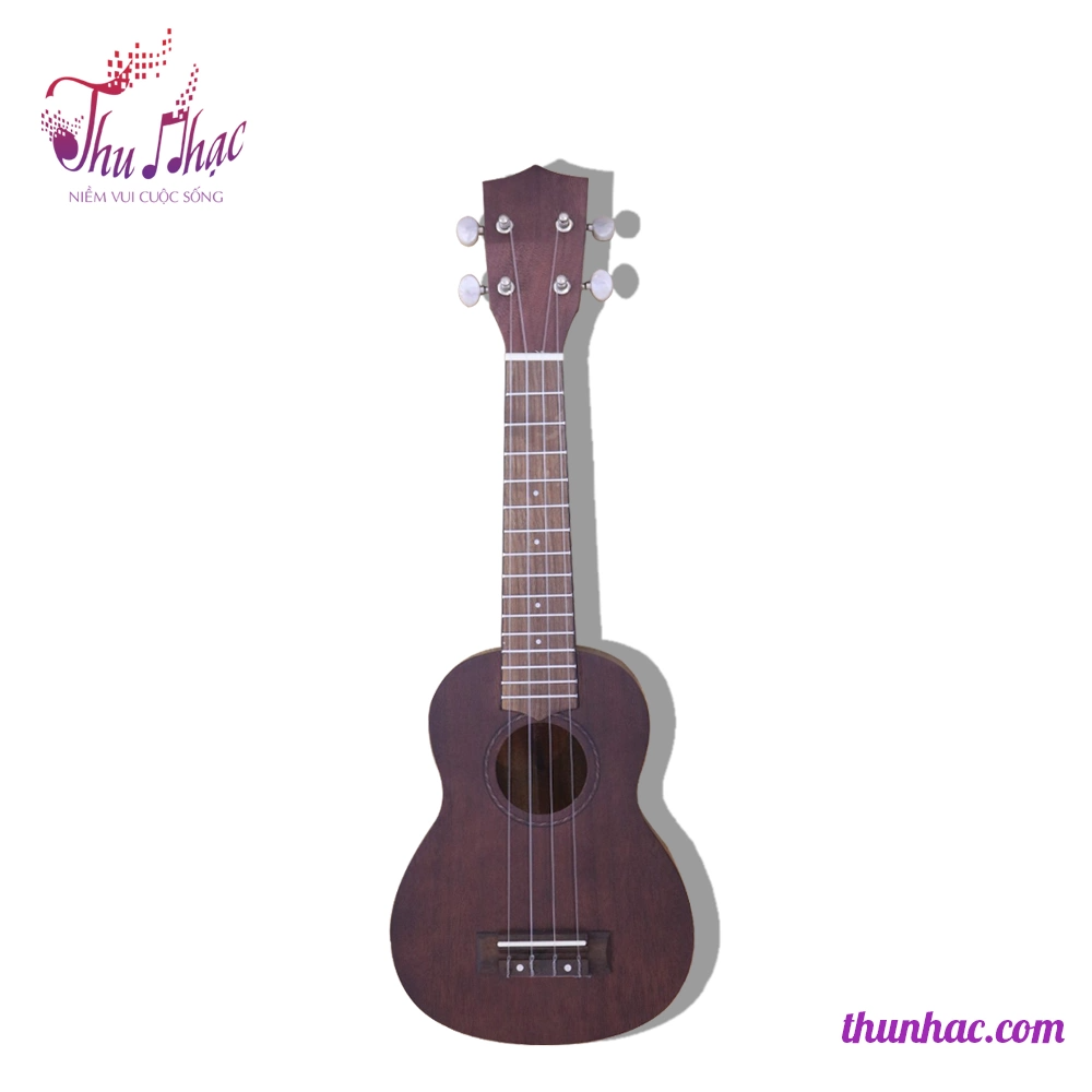 Đàn Ukulele gỗ Concert size 21