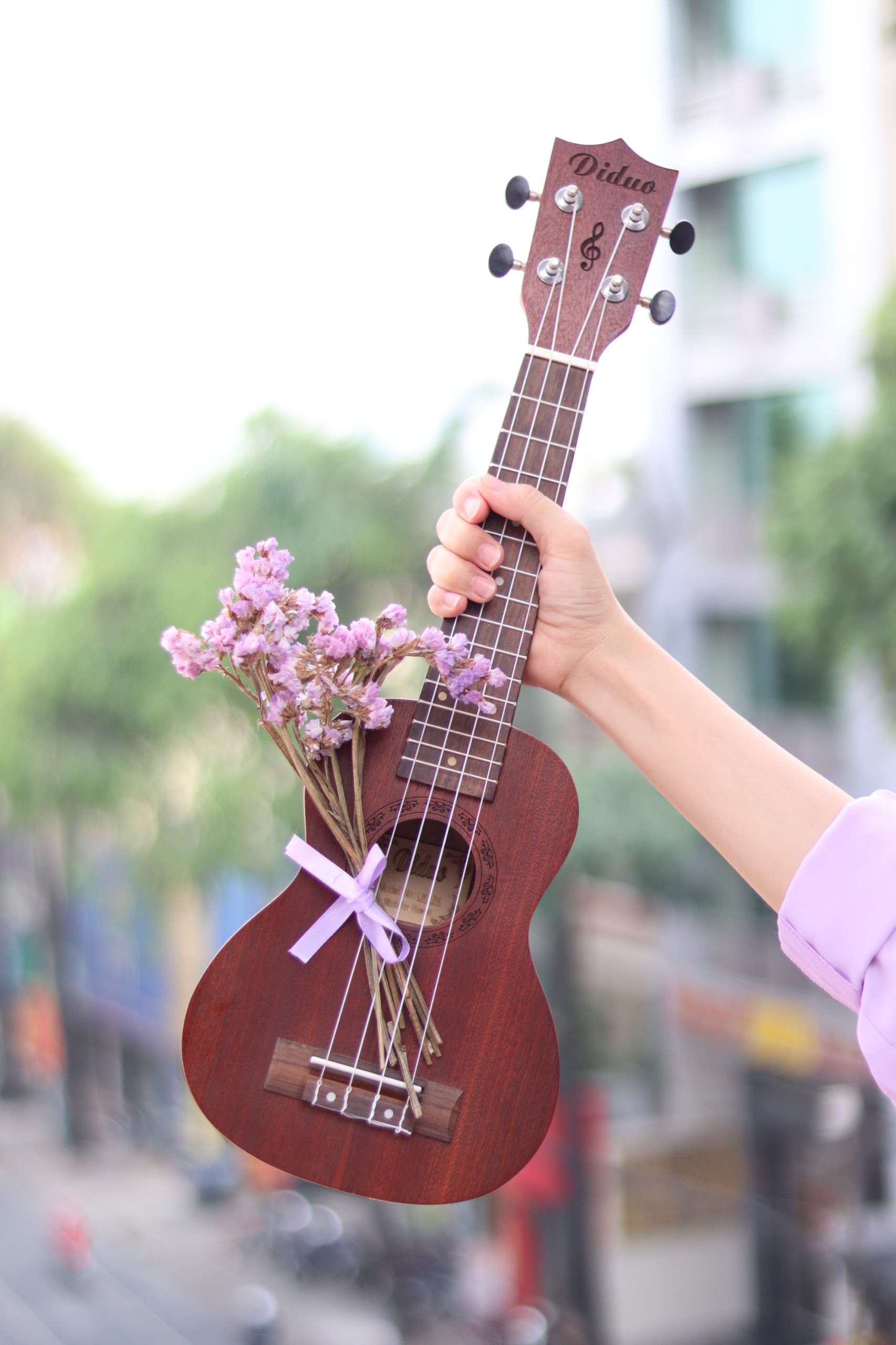 Đàn Ukulele gỗ họa tiết uy tín