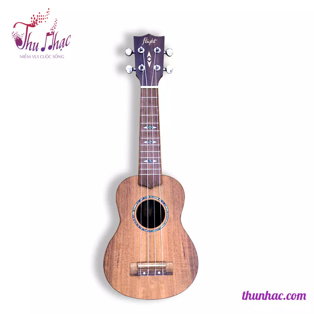 Đàn Ukulele gỗ concert size 23 uy tín