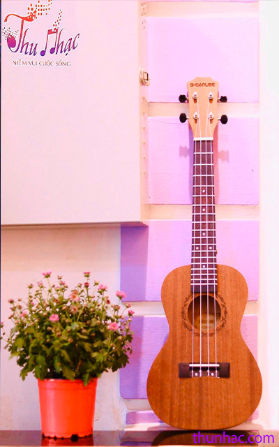 thương hiệu ukulele nổi tiếng