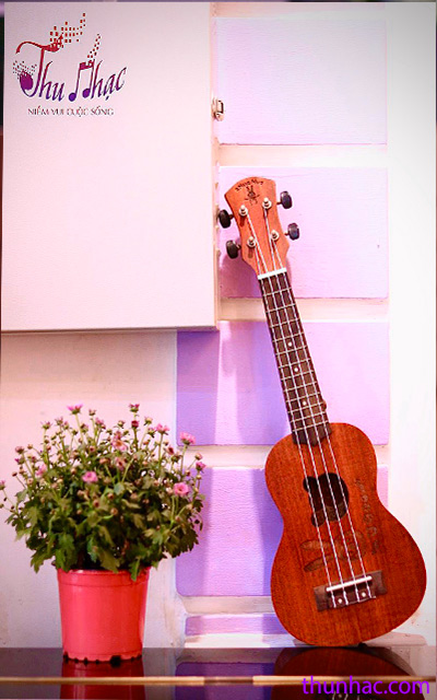 nơi mua đàn ukulele giá rẻ tại tphcm