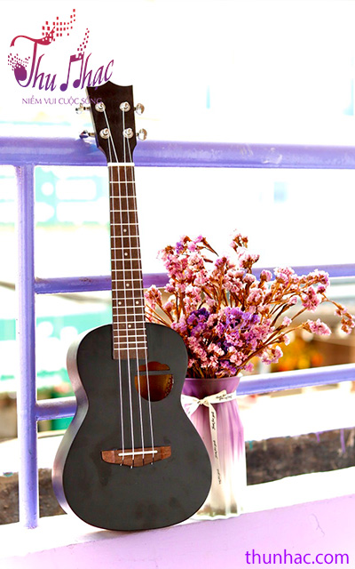 mua-ukulele-mau-tphcm