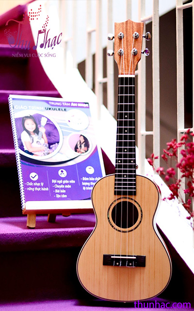 mua ukulele gỗ chính hãng