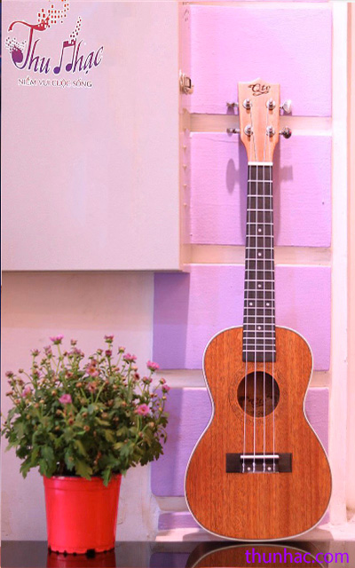 học chơi ukulele cơ bản