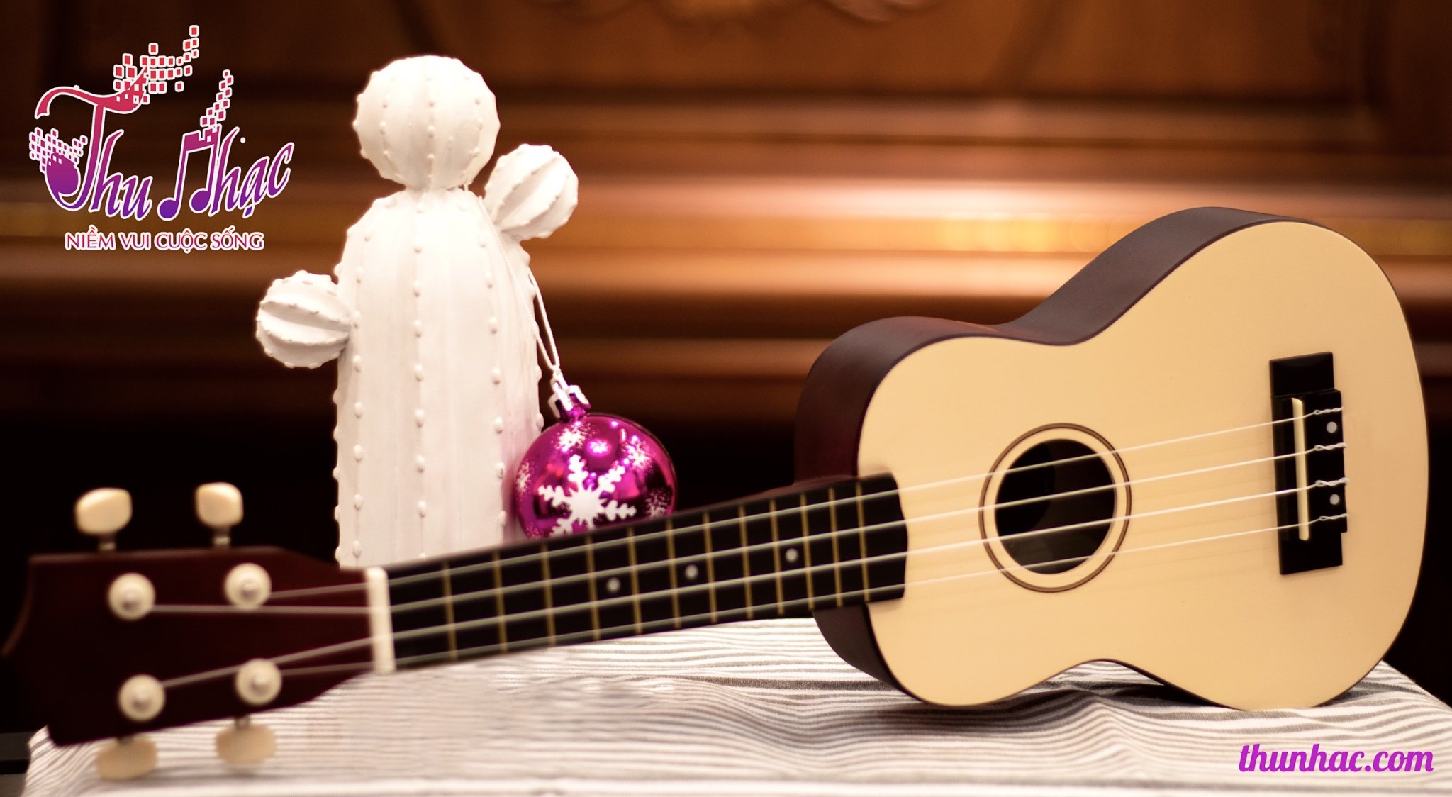 thuê đàn ukulele theo giờ theo tháng TPHCM