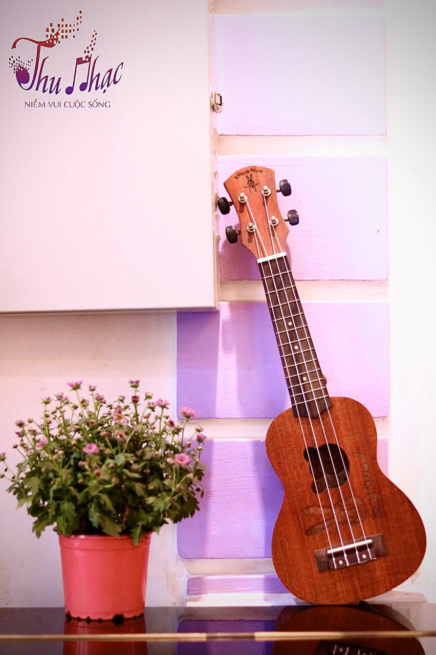 Đàn ukulele họa tiết gỗ giá rẻ quận 9