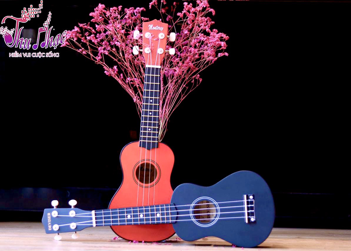 Cửa hàng bán ukulele màu quận 7 giá rẻ nhất