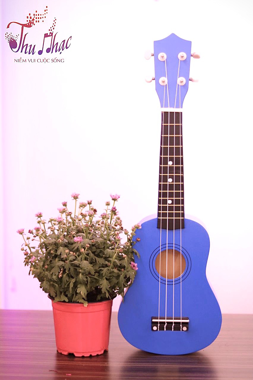 Đàn ukulele màu