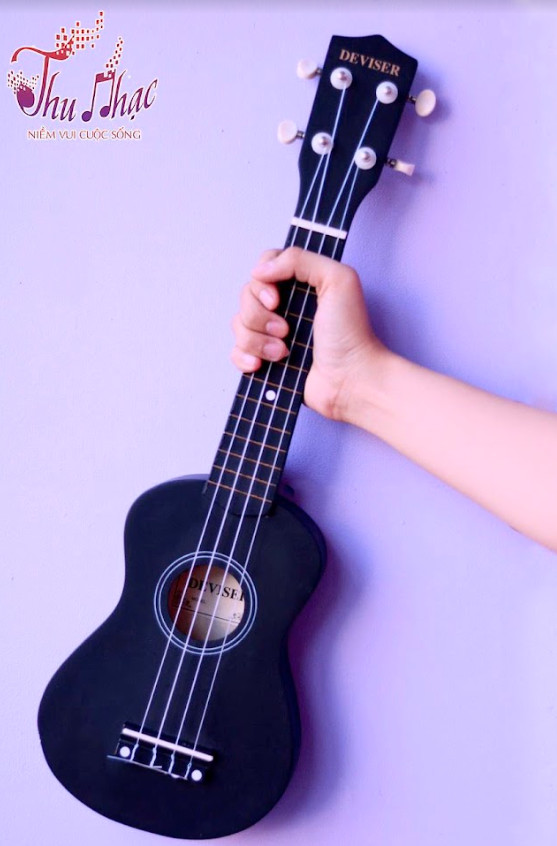 Cửa hàng bán đàn ukulele chính hãng