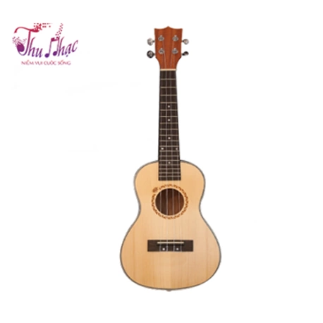 Đàn Ukulele gỗ họa tiết uy tín giá tốt