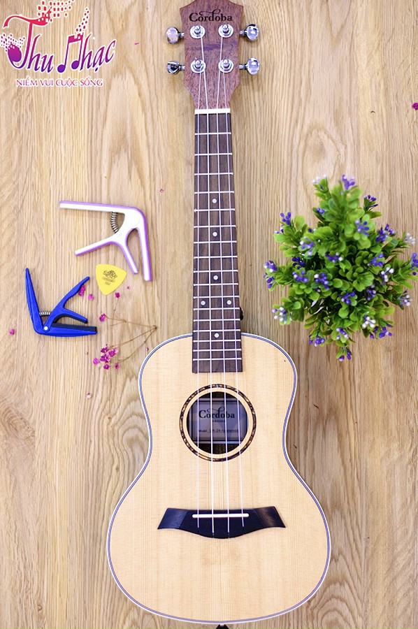 Đàn ukulele gỗ giá rẻ