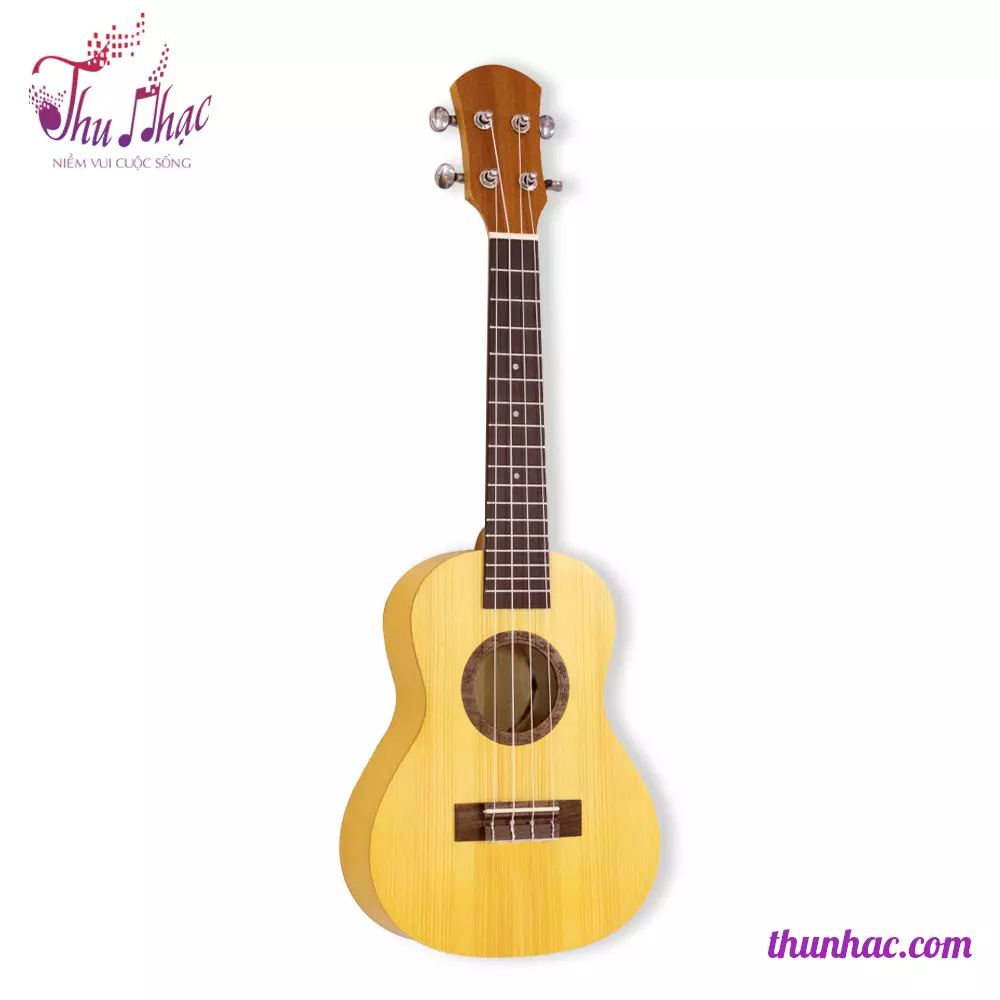 Đàn Ukulele họa tiết hoạt hình uy tín