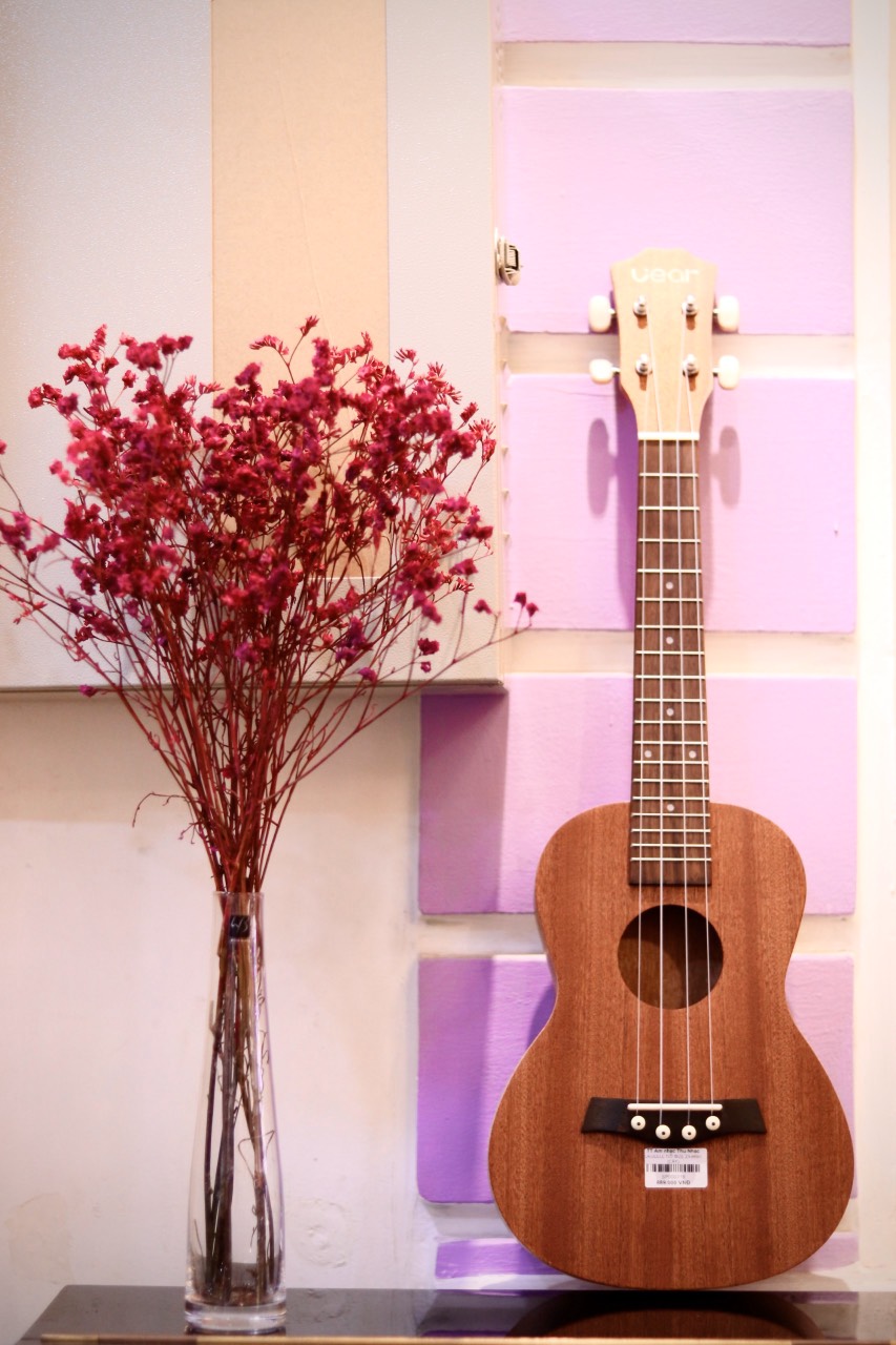 Đàn ukulele giá rẻ, chất lượng.