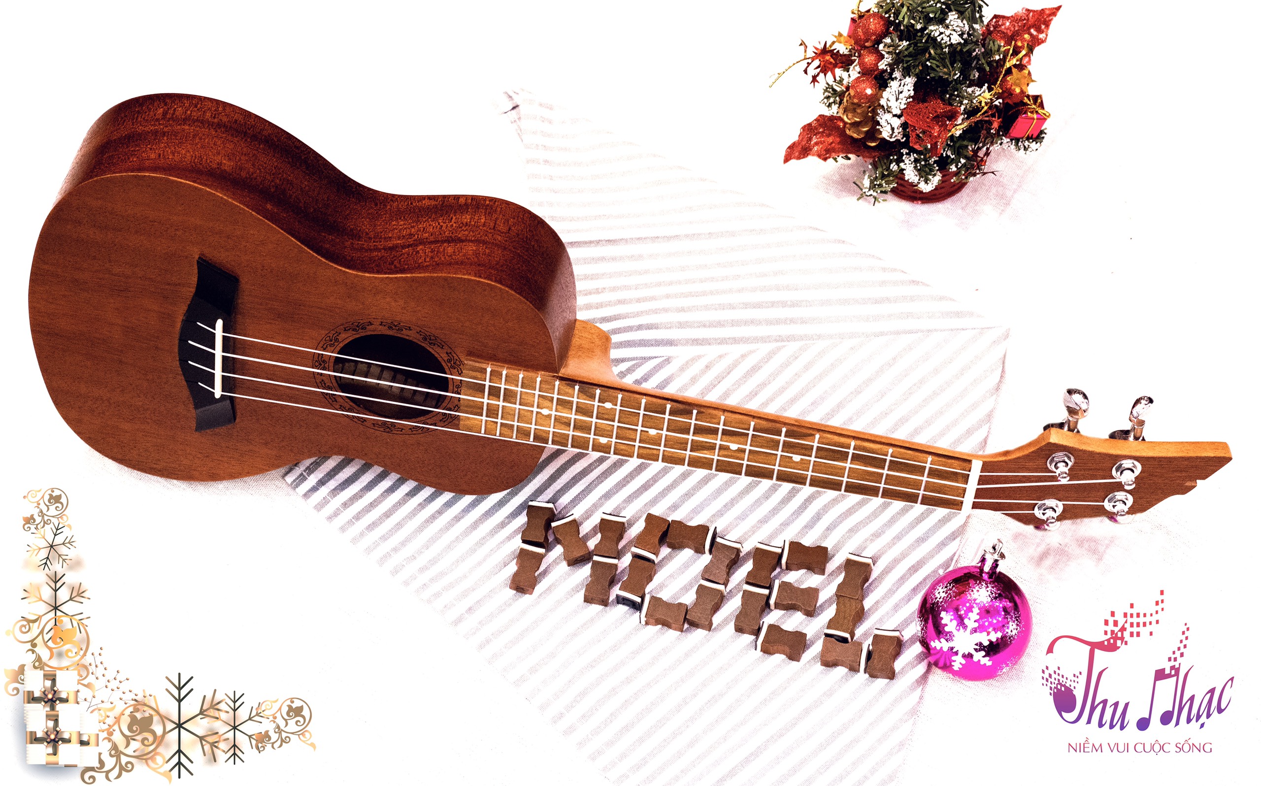 Đàn ukulele Concert chính hãng