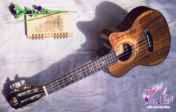 Đàn ukulele Tenor chất lượng.