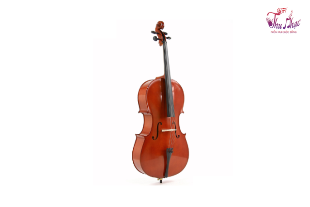 Mặt hông đàn cello size 4/4 