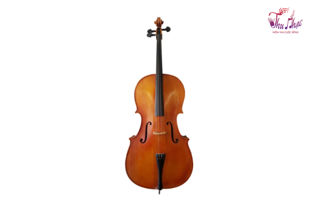 Đàn cello size 4/4 chính hãng