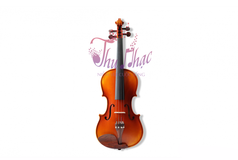 Mẫu đàn violin quận 1 chất lượng cho người mới