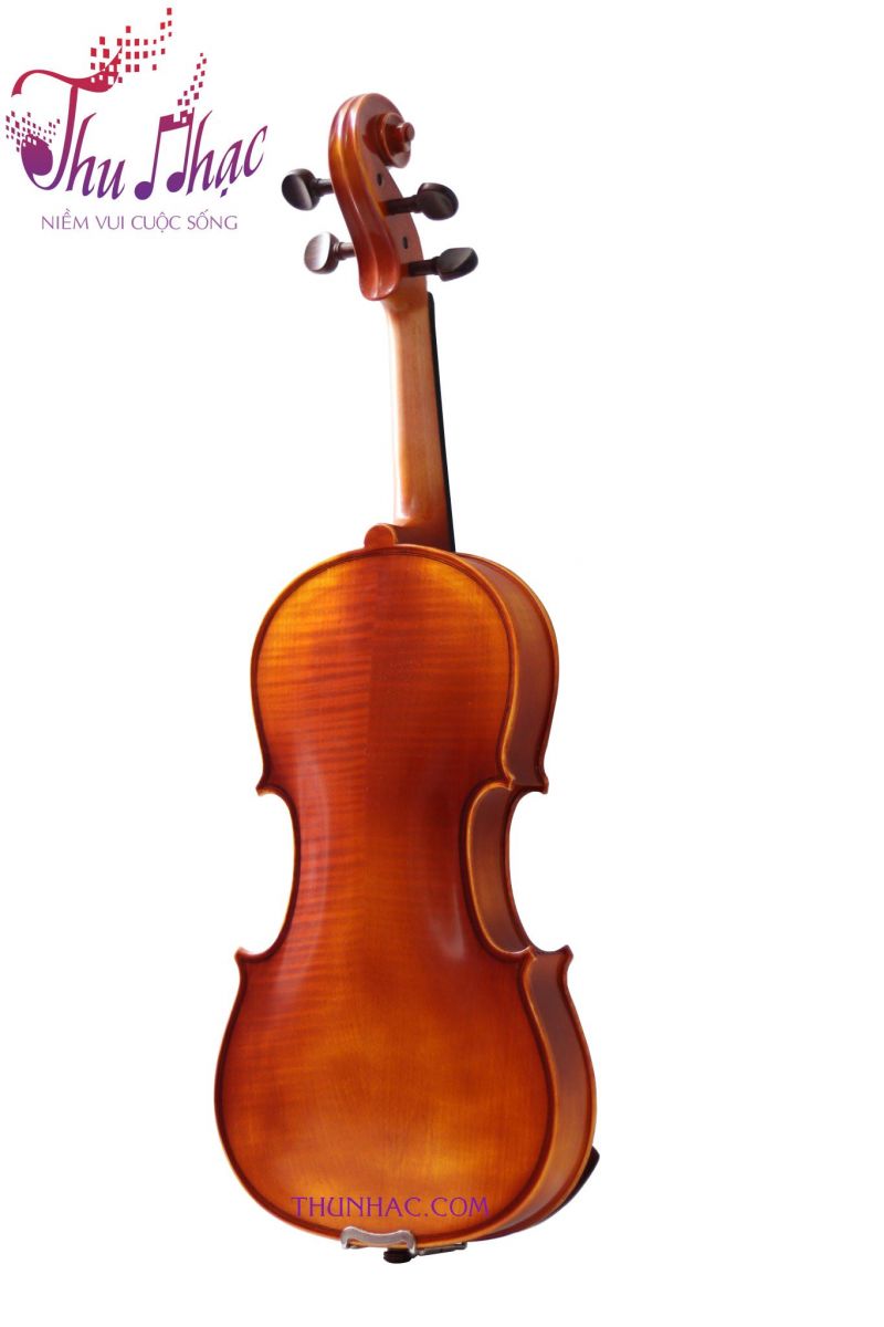 VIOLIN SCOTT – GUAN