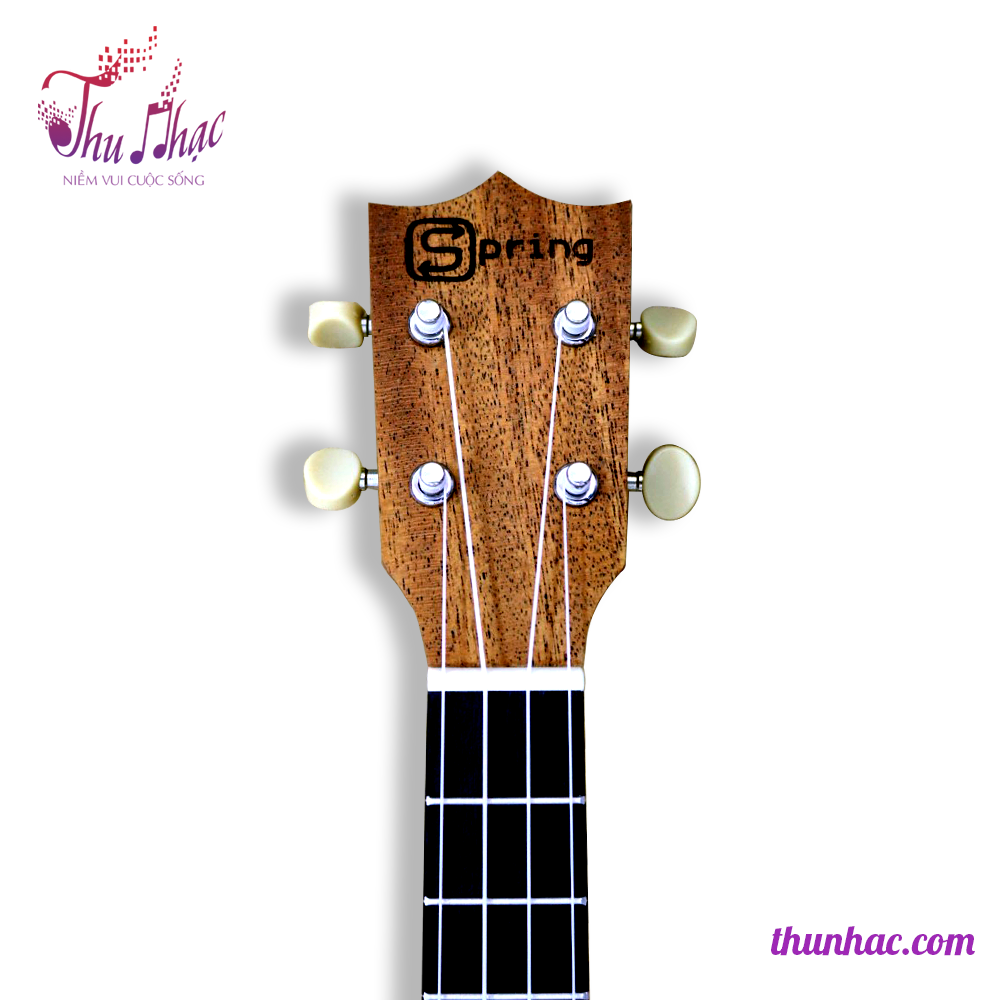 ĐÀN UKULELE CONCERT GỖ SIZE 21