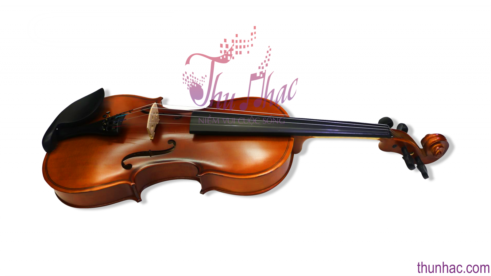 VIOLIN JIANGSU