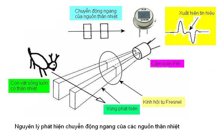 Hướng dẫn sử dụng cảm biến chuyển động PIR sensor