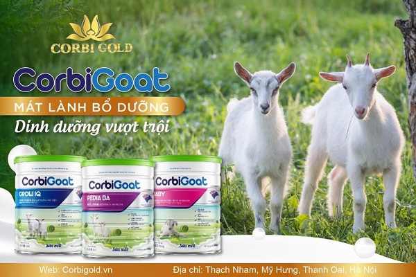 Sữa dê Corbi Goat mát lành bổ dưỡng - dinh dưỡng vượt trội