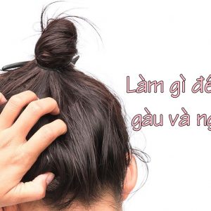 Làm thế nào để thoát khỏi gàu?