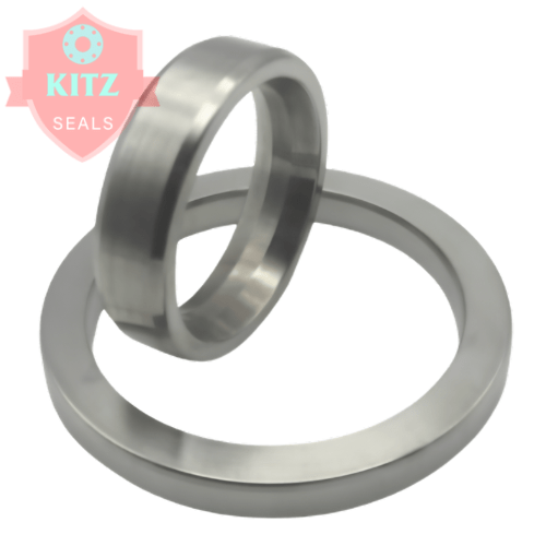 Ring Type Joint (RTJ) Gasket